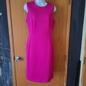 Calvin Klein, size 10, Sleeveless Pink, Form Fitting Dress.